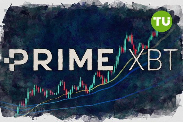 PrimeXBT vs Pocket Option Comprehensive Analysis of Two Trading Platforms