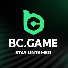 Everything You Need to Know About BC.Game Online Betting Platform Everything You Need to Know About BC.Game Online Betting Platform