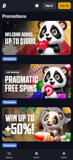 Purist Online Gaming Showdown Bitfortune vs. Cloudbet