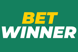 Exploring the BetWinner Platform A Comprehensive Guide 480847816