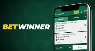 Comprehensive Review of BetWinner Your Guide to Sports Betting Success